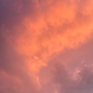 Meet your Posher, Eugene